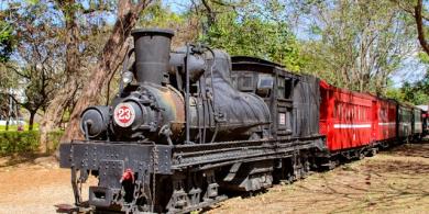 Vintage steam train with red carriage under trees on a sunny day.